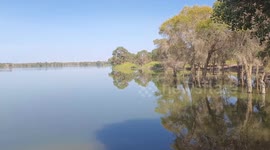 Lop Nor Wetland, paradise of wildlife in China's Xinjiang