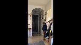 Arizona family surprises boys with new puppy after losing family dog and the reaction is priceless