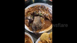 Chinese diners find shoe insole in fish dish at restaurant