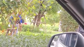 Celebrity English teacher arrested over ‘sex with underage fan' in Thailand