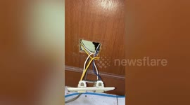 Kitten trapped behind plug socket rescued by concerned resident