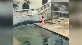 Hero resident saves toddler drowning in pond in China