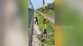 Kind train driver stops to move stranded turtle off the tracks