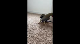 Practicing His Poses For Fashion Week