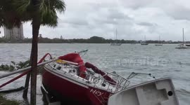 Hurricane Idalia Causes Damage in Miami, FL, USA