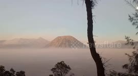 Frost covers greenery near Indonesian volcano in rare occurrence