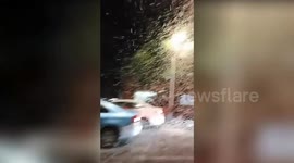 Thousands of flying mayflies take over street in China