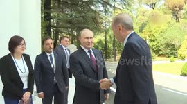 Erdogan, Putin discuss Black Sea grain deal