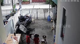Killer cobra rears up at terrified toddlers on their own driveway