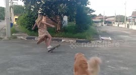 Skateboarding woman topples over when pet dogs run to her