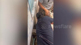 Residents smash through concrete to save puppies stuck under drain pipe