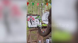 Elephant paints pictures with its truck at sanctuary in Thailand