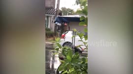 Green snake dangles from food stand roof during storm in Thailand