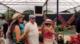 Flower Festival