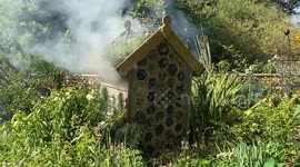 Park staff and police put out a fire in St James’s Park in central London during suspected arson