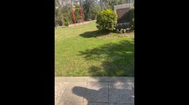 Emotional scenes as lost dog is reunited with family in Argentina