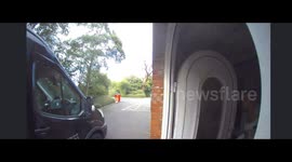 Woman Takes a Spill Rushing Out of the House