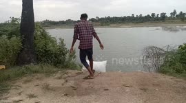 Indian farmer dumps tonnes of okra into lake due to dramatic fall in prices