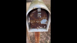 You've Got Mail!