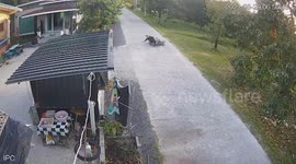 Dog runs outside hitting motorcycle rider causing him to crash