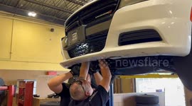 Police rescue kitten from patrol car's engine in Indiana