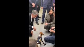Antony Blinken meets mine-sniffing dog Patron during Kyiv visit