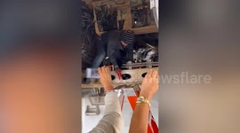 Stowaway jumps airport fence and hides in plane's landing gear