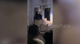Bear that strayed into residential area in India is rescued and relocated