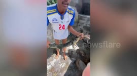 Fish caretakers catch monitor lizard hiding in koi pool