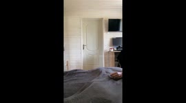 Extra Fluffy Cat Fails The Catch