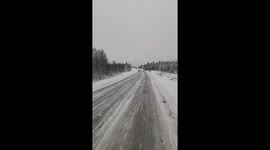 Icy Road Leads to Close Call for Reindeer (ID: 236235038)