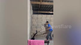 Brave rescuer catches giant cobra hiding in family's bedroom