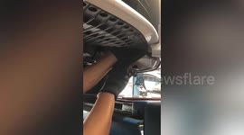 Kitten stuck under car engine rescued by mechanic in Thailand