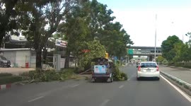 Tree branch falls onto tuktuk in Bangkok