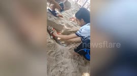 Girl buries pet cat in beach sand