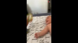Adorable baby steals hearts by giggling heartily *Wholesome baby video*