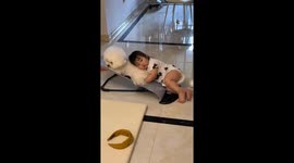 Toddler and dog's rocking chair standoff