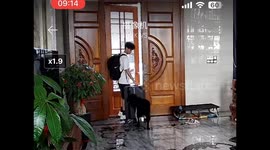 Devoted Labrador Reluctantly Bids Farewell to Owner in China