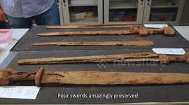 Rare Roman gladiator swords unearthed In ancient arms cache