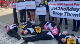 PETA ‘orcas’ stage protest against marine parks outside Jet2’s annual meeting