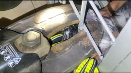A Pet Dog Stuck in an Iron Cage Evacuation Takes Place Dramatically
