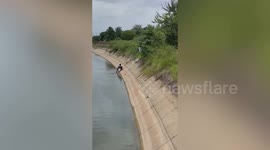 Drowning disabled dog rescued from canal by kind passersby in Thailand