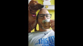 Dachshund Licks Dad's Head