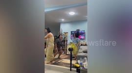 Three women celebrate wildly as Thailand's female volleyball teams beats China