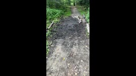 Mud, Glorious Mud!