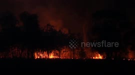Indonesian firefighter from Manggala Agni tried to extinguish wildfire at Palem Raya Regency in Ogan Ilir, South Sumatera, Indonesia on September 07, 2023. Indonesia, the vast archipelago country, is often hit by forest fires which spread across the islan