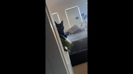 Crumpet Will Not Stop