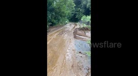Japan: Heavy Rains Cause Mudslides As Tropical Storm Yun-Yeung Approaches