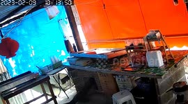 Monitor lizard breaks into cage and steals pet rabbit