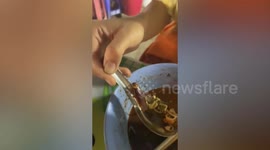 Disgusted woman finds cockroach swimming under bowl of beef noodle soup